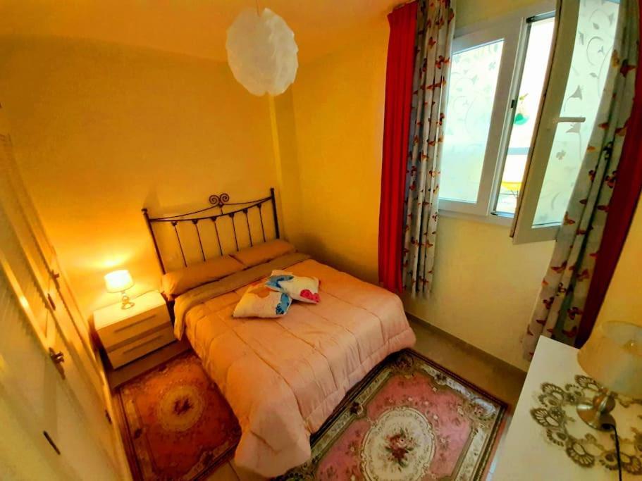 Apartament Ocean Orchidea Puerto de la Cruz  Zewnętrze zdjęcie